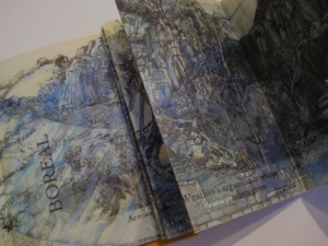 ElllenWiener_Borealdetsm